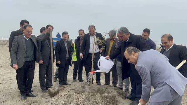 پویش نهالکاری «آسنی» در غرب مازندران کلید خورد